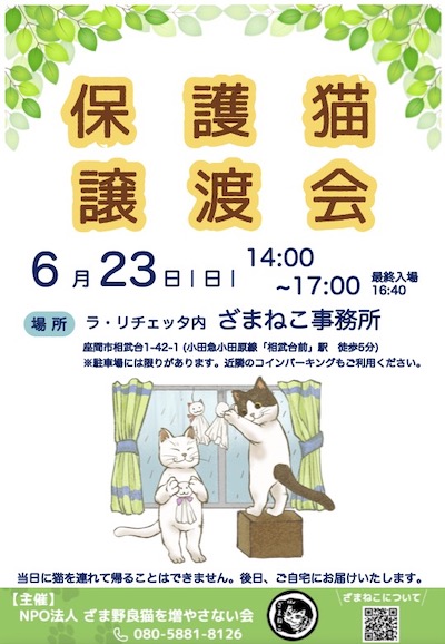 6月の譲渡会のお知らせ