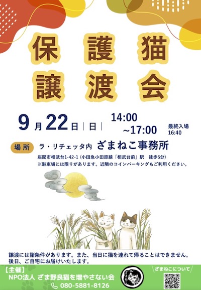 9月の譲渡会のお知らせ