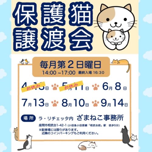 上半期譲渡会