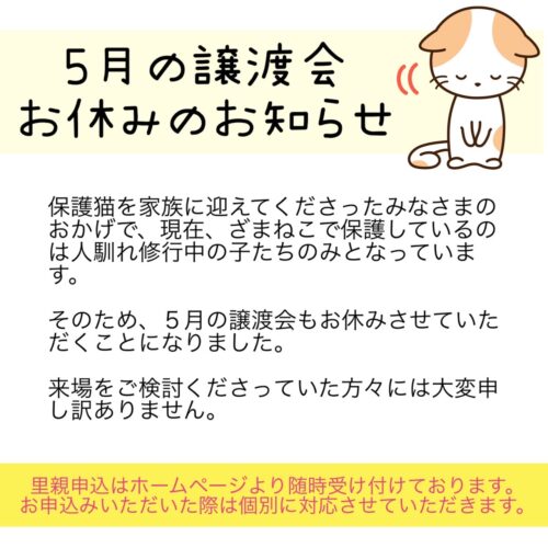 譲渡会お休みのおしらせ